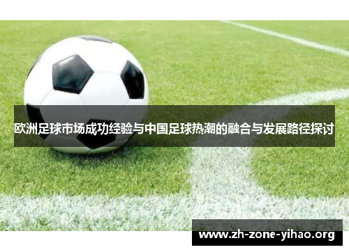 欧洲足球市场成功经验与中国足球热潮的融合与发展路径探讨