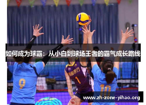 如何成为球霸：从小白到球场王者的霸气成长路线