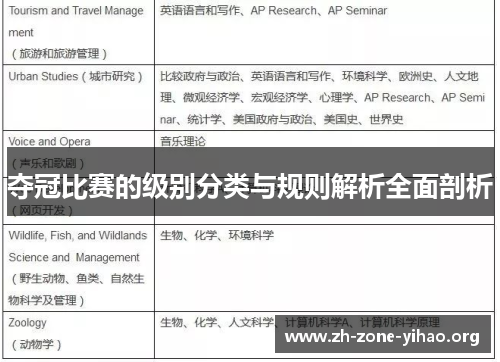 夺冠比赛的级别分类与规则解析全面剖析