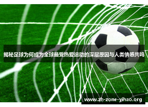 揭秘足球为何成为全球最受热爱运动的深层原因与人类情感共鸣